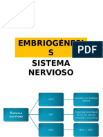 Embriogénesis Sitema Nervioso