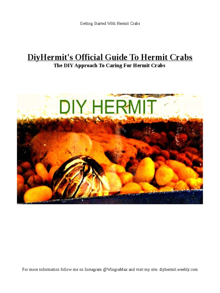 Hermit Crab Care Download Free PDF Vegetables Fruit