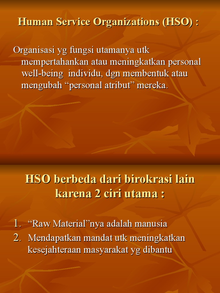 Fungsi dan Klasifikasi HSO | PDF