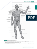 Regio Tubuh Sobotta PDF