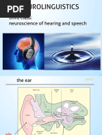 Third Class: Neuroscience of Hearing and Speech: Neurolinguistics