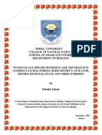 Corected Thesis PDF