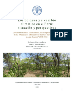 Bosques CC Peru 12.05.15