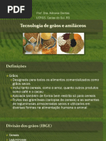 aula 1 - Tecnologia de grãos e amiláceos .pdf