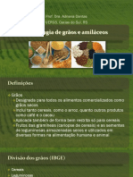 Aula 1 - Tecnologia de Grãos e Amiláceos PDF