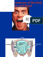 Surface Anatomy of The Oral Cavity and Head: Open Wide!