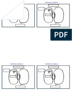 Partes de La Semilla