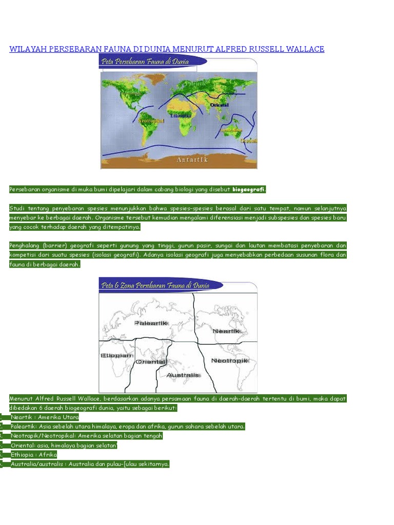 55+ Gambar Fauna Wilayah Neotropik Terbaik
