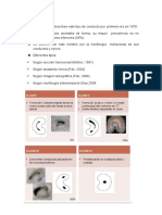 Clasificaciones de Conductos