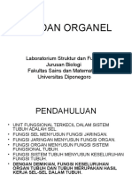 Sel Dan Organela