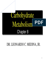 8 Carbohydrate Metabolism