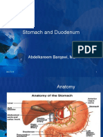 Stomach and Duodenum