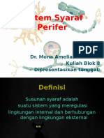 Sistem Syaraf Perifer Abdurab