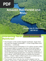 1 Amazon Rainforest and River