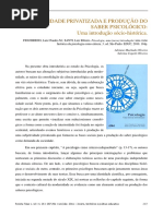 SUBJETIVIDADE PRIVATIZADA.pdf