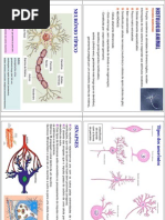 11_Biologia+e+farmacogenética