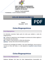 Aula 1.1 - Ciclos Biogeoquímicos (Completa)
