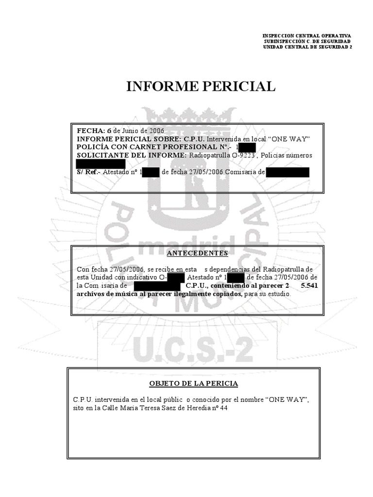 1 Informe Pericial Informatico