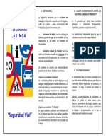 TRIPTICO Seguridad Vial PDF