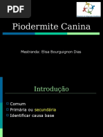 Piodermite .Canina