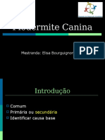 Piodermite .Canina