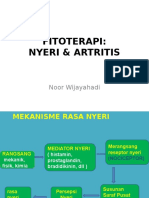 2015 Fitotetapi Nyeri & Artritis