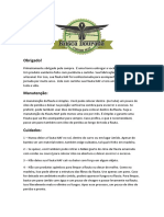Manual Flauta NAT PDF