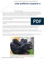 Los chimpancés prefieren cooperar a competir — Noticias de la Ciencia y la Tecnología (Amazings® _ NCYT®)