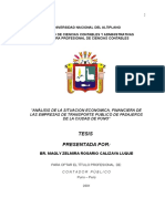 Análisis de La Situacion Economica, Financiera de Las Empresas de Transporte Publico de Pasajeros