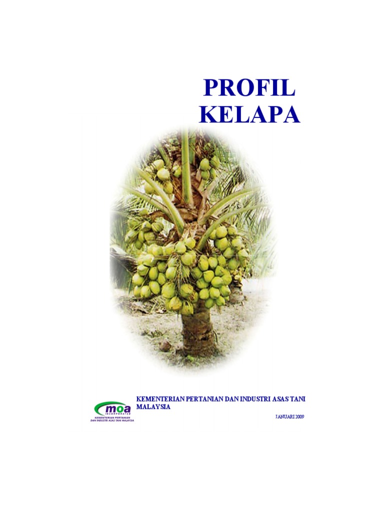 Kelapa Pdf Pdf