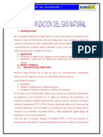 Documents.tips Informe Terminado Desmercurizacion Del Mercurio