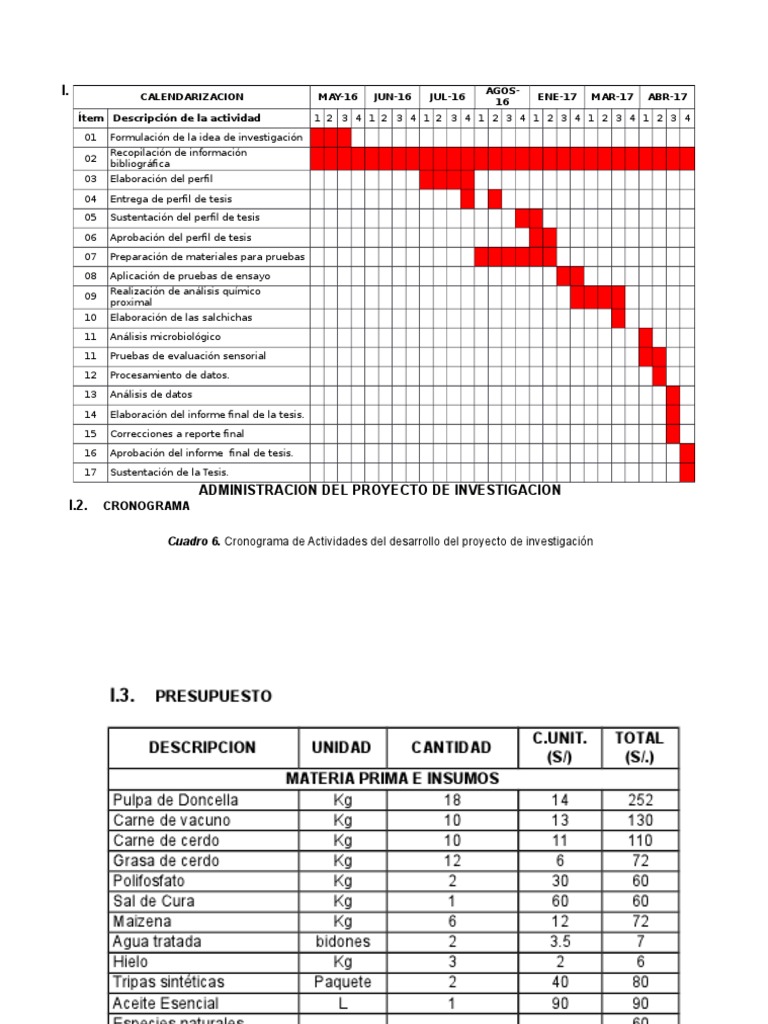 Cronograma y Presupuesto de Tesis | PDF | Arte | Ciencia y matemáticas