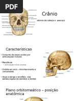 Cr_nio_-_vistas_aula_1.pptx