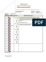 12. COLUM ESTRATIGRAFICA.pdf