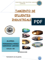 Tratamiento de Efluentes - Docx Terminado