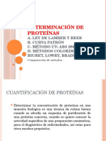 2d-determinacion-de-proteinas.pptx