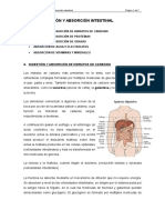 TEMA II. DIGESTIÓN Y ABSORCIÓN INTESTINAL.doc