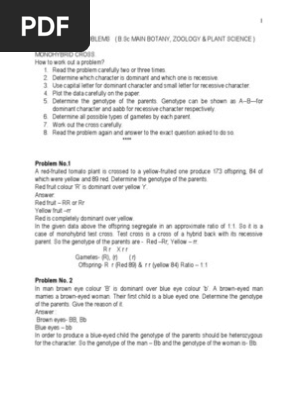 Genetics Problems With Answers Dominance Genetics Genotype