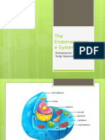 The Endomembran e System: Endoplasmic Reticulum & Golgi Apparatus