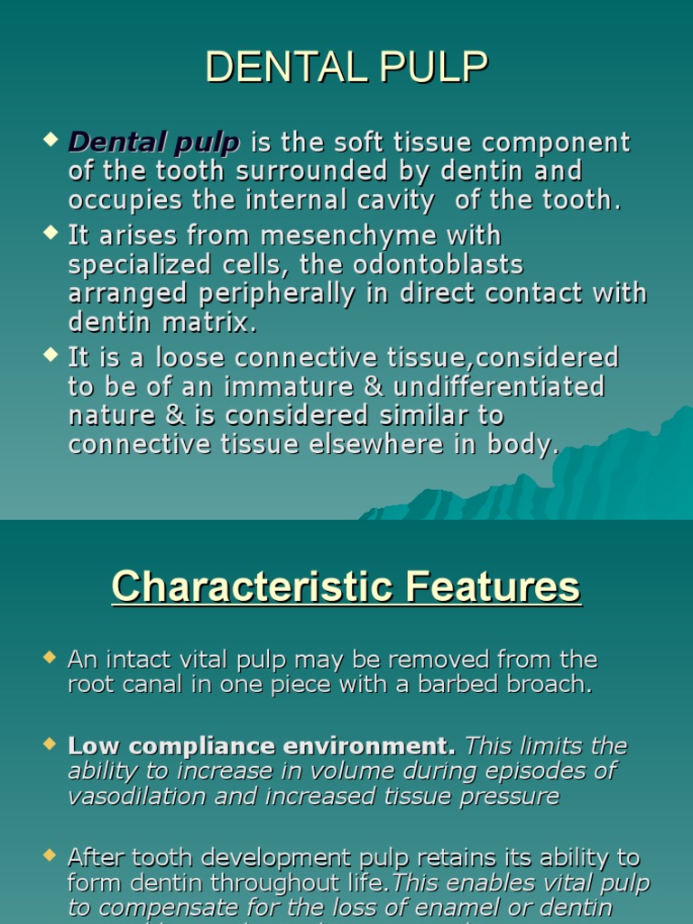Dental Pulp PDF Extracellular Matrix Nerve