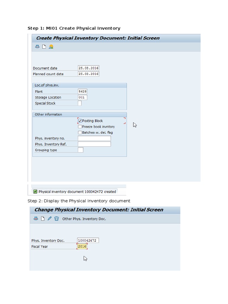Step 1: MI01 Create Physical Inventory | PDF | Business