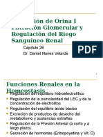 26-Formación de Orina I.ppt