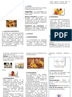 Los Glúcidos Tríptico