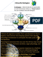 Ritmul Circadian Partea 2 AMZ-1