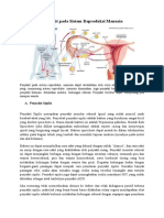 Penyakit Pada Sistem Reproduksi Manusia