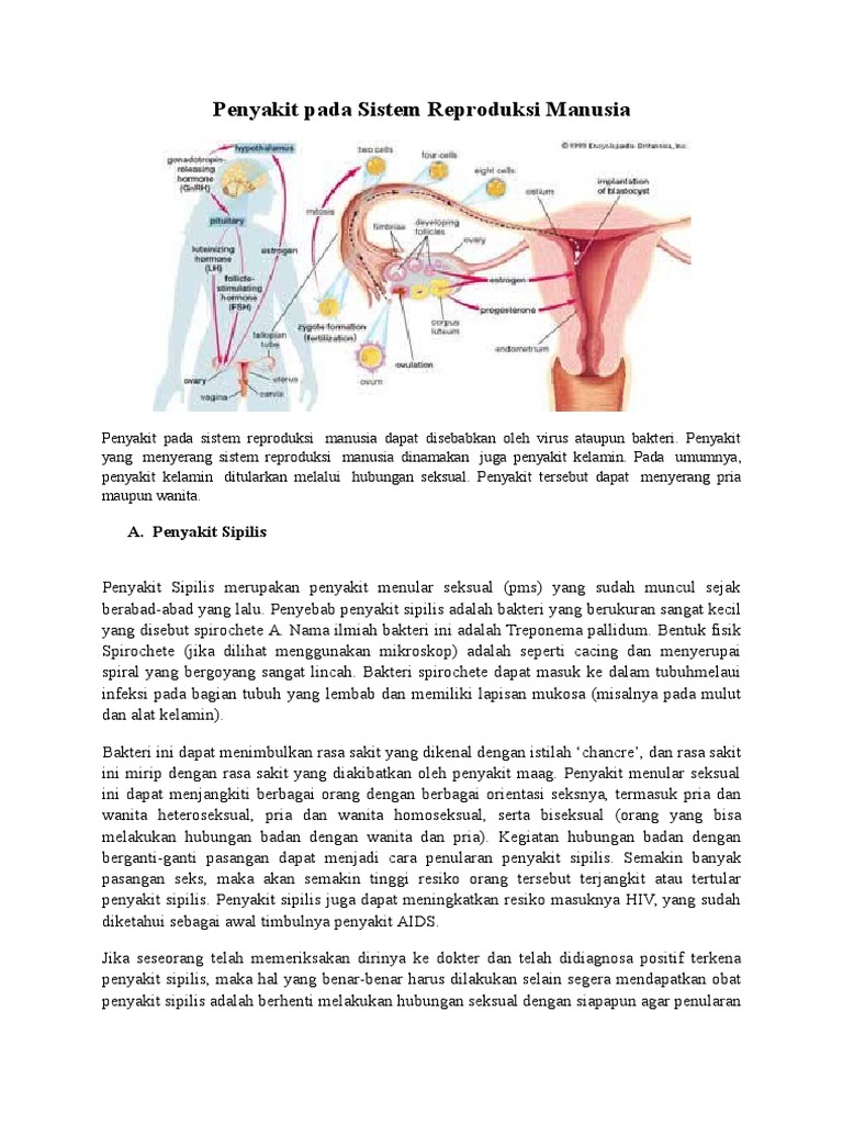 Penyakit Pada Sistem Reproduksi Manusia