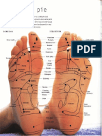 Reflexologia Y Digitopuntura