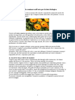 Sei fiori da seminare nell.doc