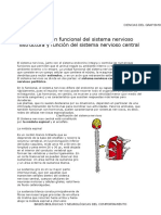 El sistema nervioso central y sus estructuras