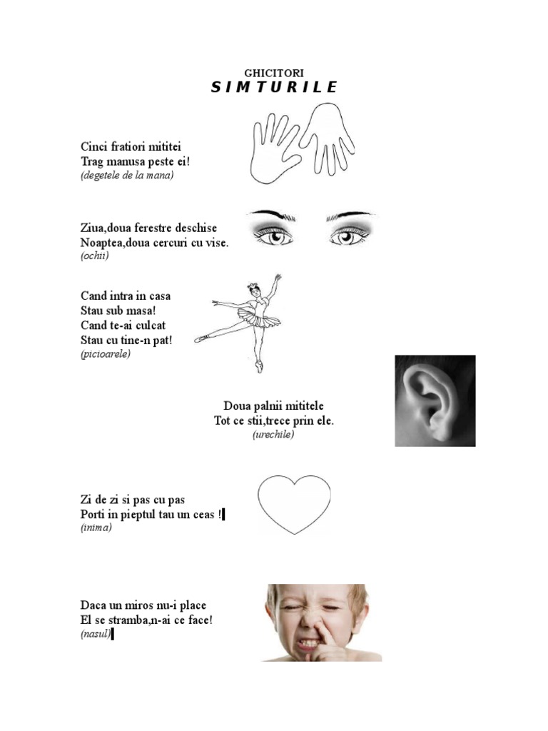 Simturile | PDF